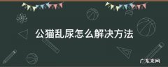 公猫乱尿怎么解决方法 公猫总是乱尿怎么办