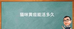 小猫得黄疸一般多久才出现症状 猫咪黄疸能活多久