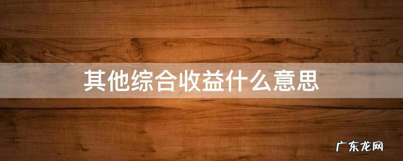 其他综合收益什么意思 其他综合收益是什么意思通俗点讲