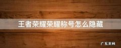 王者荣耀荣耀称号怎么隐藏 王者荣耀荣耀称号怎么隐藏荣耀称号隐藏了还有牌子吗