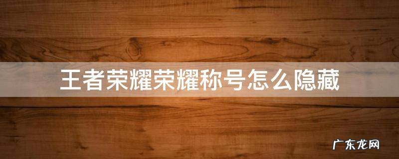 王者荣耀荣耀称号怎么隐藏 王者荣耀荣耀称号怎么隐藏荣耀称号隐藏了还有牌子吗