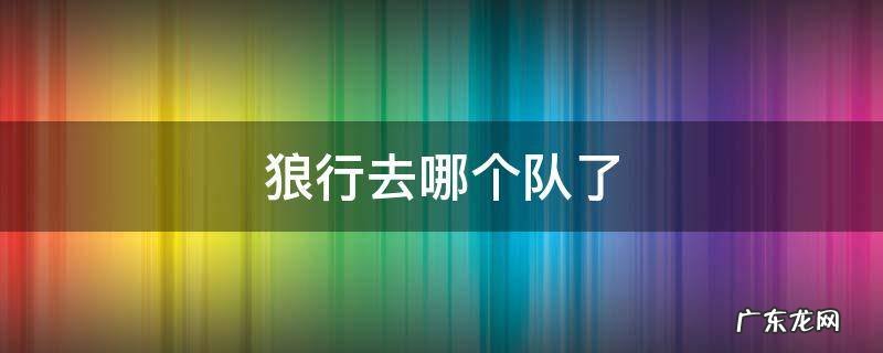 狼行在哪个队 狼行去哪个队了