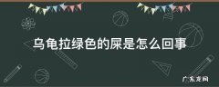 乌龟拉出来的屎是绿色的 乌龟拉绿色的屎是怎么回事