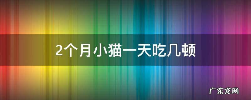 2个月小猫一天吃几顿 2个月小猫一天吃几顿猫粮