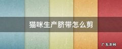 猫咪生宝宝脐带怎么剪 猫咪生产脐带怎么剪