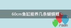 30cm的鱼缸可以养蝴蝶鲤吗 60cm鱼缸能养几条蝴蝶鲤