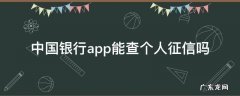 中国银行APP可以查征信吗 中国银行app能查个人征信吗