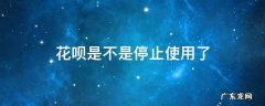 花呗是不是停止使用了 花呗是要停止使用了吗