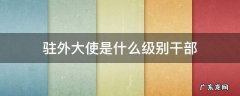 驻外大使哪些是副部级 驻外大使是什么级别干部