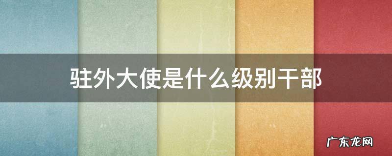 驻外大使哪些是副部级 驻外大使是什么级别干部