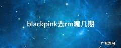 blackpink去rm哪几期 blackpink去rm哪一期