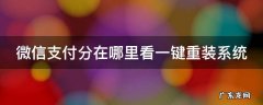 微信支付分在哪里看一键重装系统