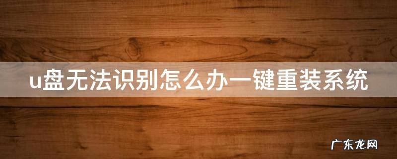 u盘无法识别还能修好吗 u盘无法识别怎么办一键重装系统
