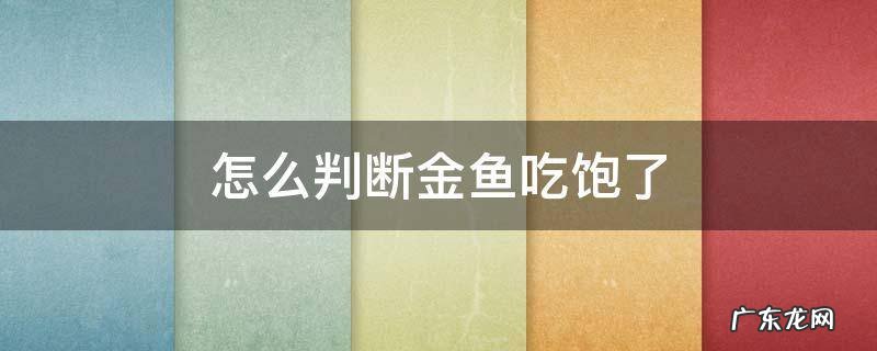 如何判断金鱼吃饱了 怎么判断金鱼吃饱了