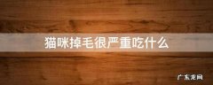 猫咪掉毛很严重吃什么可以改善 猫咪掉毛很严重吃什么