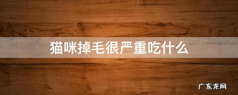 猫咪掉毛很严重吃什么可以改善 猫咪掉毛很严重吃什么