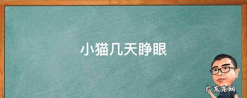 小猫几天会走路 小猫几天睁眼