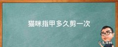 猫咪指甲多久剪一次 猫咪指甲多久剪一次合适