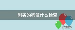 新买的狗做什么检查 刚买的狗做什么检查