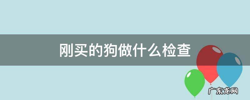 新买的狗做什么检查 刚买的狗做什么检查