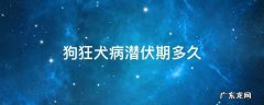 狗狂犬病潜伏期最长多久 狗狂犬病潜伏期多久