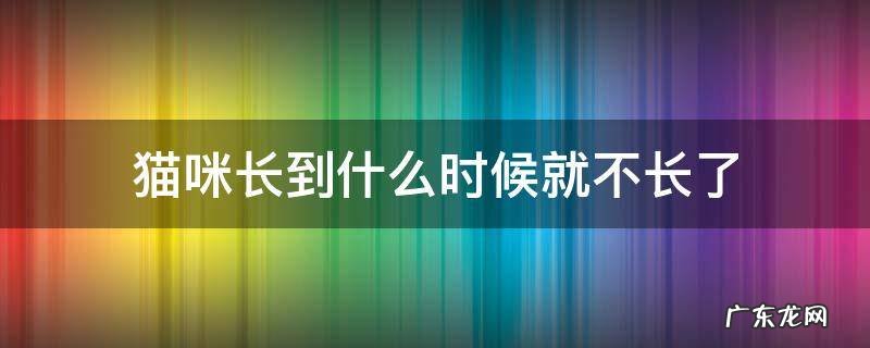 猫咪长多长时间就不长了 猫咪长到什么时候就不长了