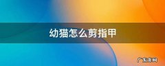 幼猫怎么剪指甲 幼猫怎样剪指甲