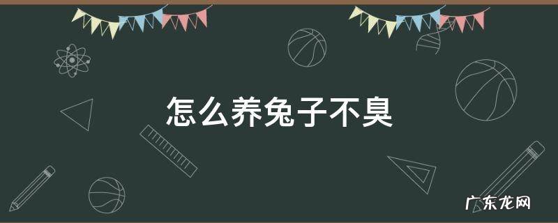 怎样养兔子不臭 怎么养兔子不臭