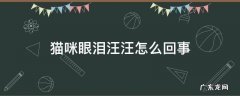 猫咪眼泪汪汪怎么回事 猫眼泪汪汪的怎么回事