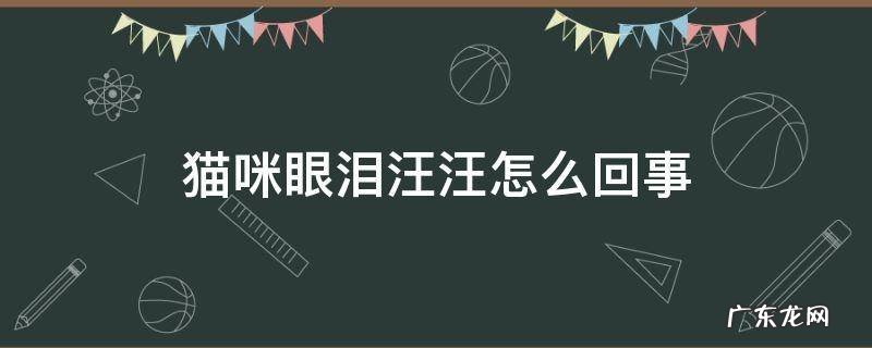 猫咪眼泪汪汪怎么回事 猫眼泪汪汪的怎么回事