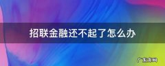 招联金融怎么还不了款怎么回事 招联金融还不起了怎么办