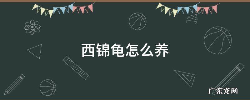 西锦龟怎么养 西锦龟怎么养发色好