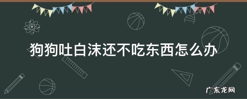 狗狗吐白沫不吃东西怎么回事 狗狗吐白沫还不吃东西怎么办