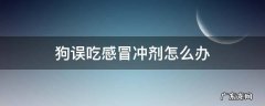 狗感冒了喝点感冒冲剂行吗 狗误吃感冒冲剂怎么办