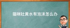 猫咪一直吐黄水有泡沫怎么办 猫咪吐黄水有泡沫怎么办