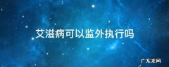 艾滋病可以监外执行吗 艾滋病诈骗犯监外执行的可能性大吗