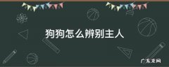 狗狗怎么辨别主人 狗狗怎么识别主人