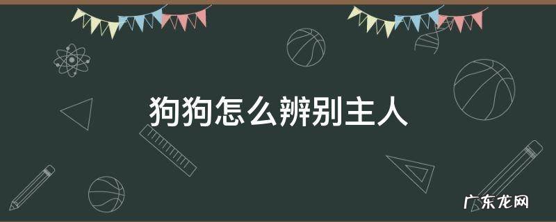 狗狗怎么辨别主人 狗狗怎么识别主人