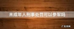 未成年被治安处罚能参军 未成年人刑事处罚可以参军吗