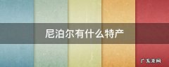 尼泊尔有什么特产可以购买 尼泊尔有什么特产