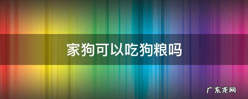 家狗可以吃狗粮吗 狗可以吃狗粮吗?