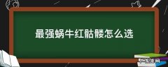 红骷髅 蜗牛 最强蜗牛红骷髅怎么选