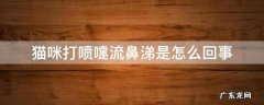 猫咪打喷嚏全是鼻涕 猫咪打喷嚏流鼻涕是怎么回事