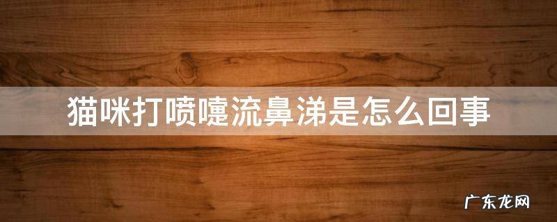猫咪打喷嚏全是鼻涕 猫咪打喷嚏流鼻涕是怎么回事