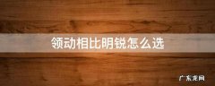 领动相比明锐怎么选 领动 与明锐谁好