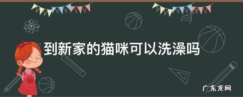 刚到新家的猫可以洗澡吗 到新家的猫咪可以洗澡吗