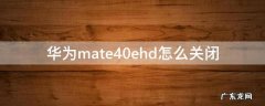 华为mate40ehd设置在哪里关闭 华为mate40ehd怎么关闭