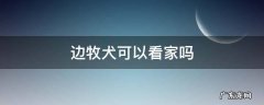 边牧可以当看门狗吗 边牧犬可以看家吗