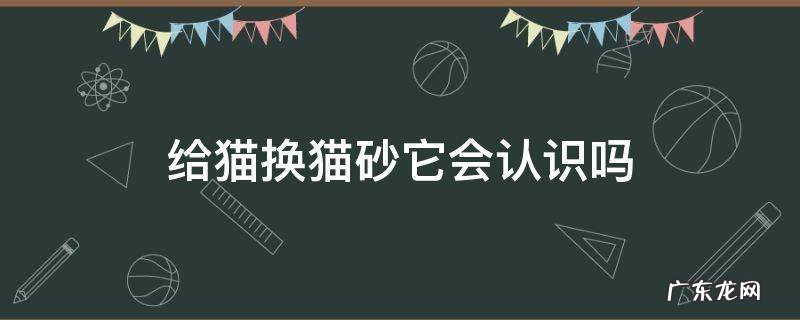 给猫换猫砂它会认识吗 给猫猫换了猫砂以后他会不会不认识