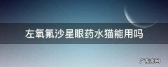 左氧氟沙星眼药水猫能用吗 诺氟沙星眼药水猫咪可以用吗